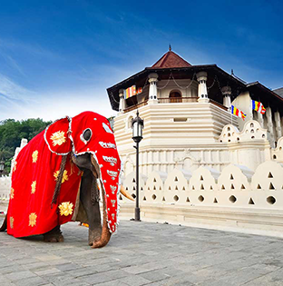 Temple of the Sacred Tooth Relic