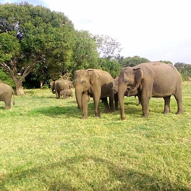 WhatsApp Image 2025 09 19 at 16.15.44_cf47764b e1761682003163