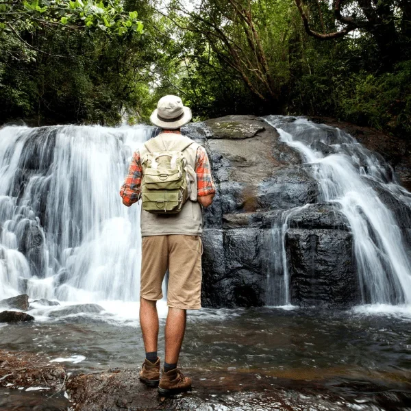 sinharaja-rain-forest-sri lanka